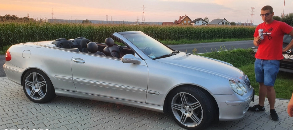 Mercedes-Benz CLK cena 30500 przebieg: 231000, rok produkcji 2003 z Turek małe 16